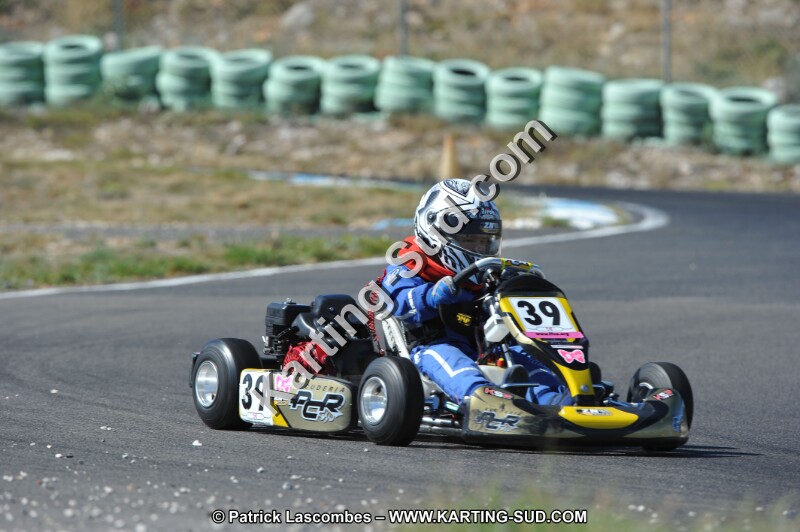 DSC (1101).JPG